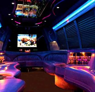 18 Passenger Party Bus Rental San Diego