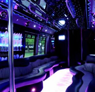 22 People Party Bus Limo San Diego