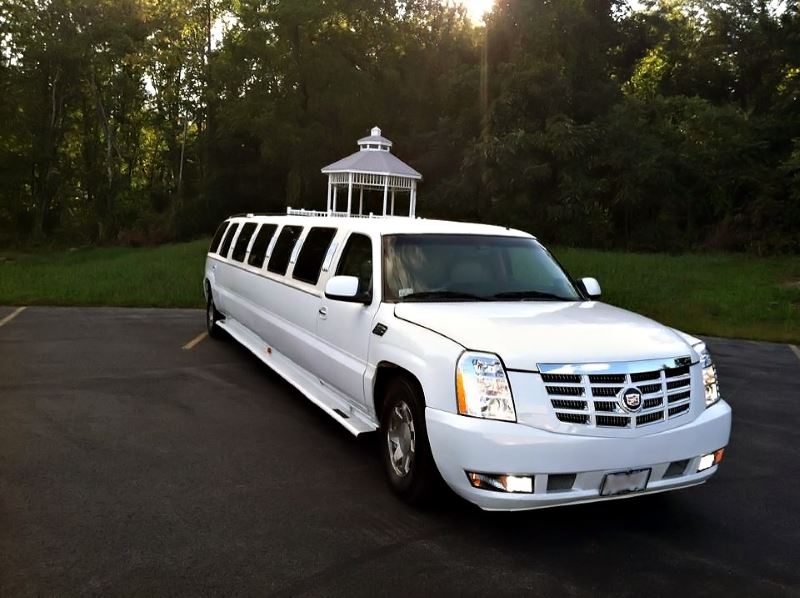 15 Passenger Limo